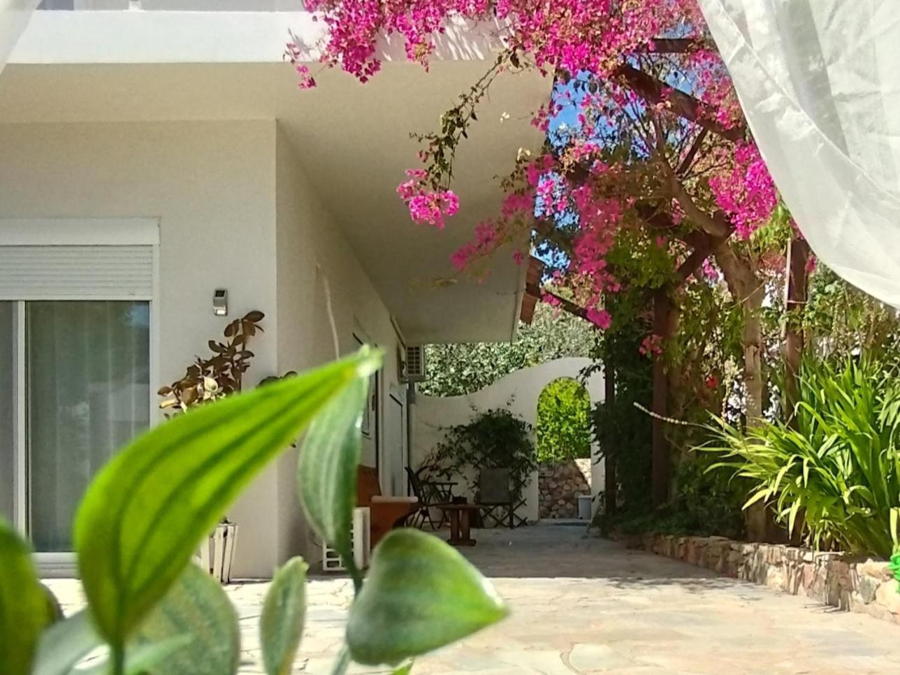 Marilen Apartment Livadia  Ngoại thất bức ảnh